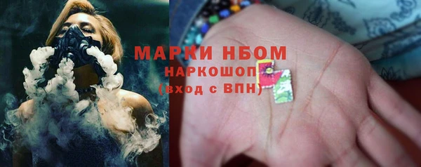 PSILOCYBIN Новокубанск