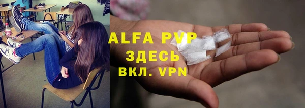 PSILOCYBIN Новокубанск