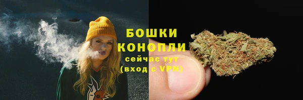 PSILOCYBIN Новокубанск
