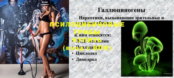 MDMA Новозыбков