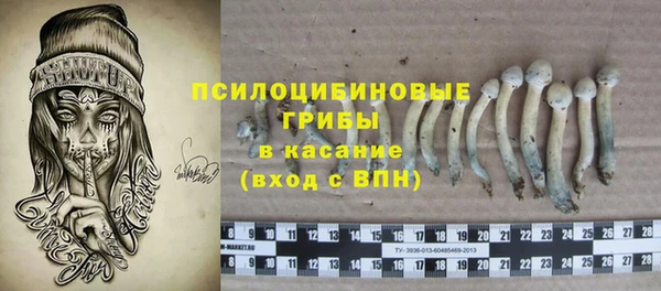MDMA Новодвинск