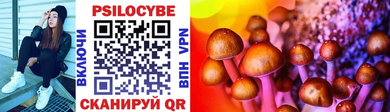 Псилоцибиновые грибы Cubensis  купить   Зубцов 